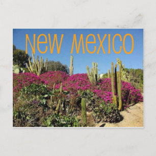New mexico vykort
