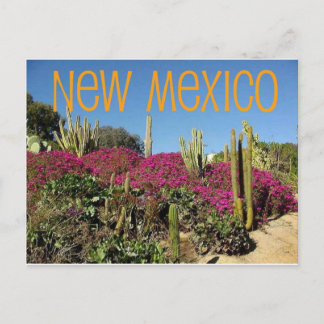 New mexico vykort
