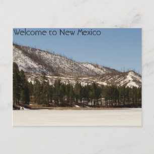 new mexico vykort