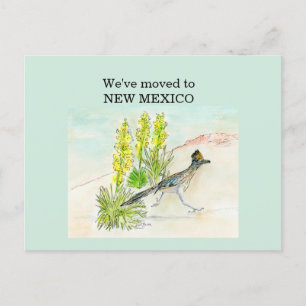 New mexico vykort