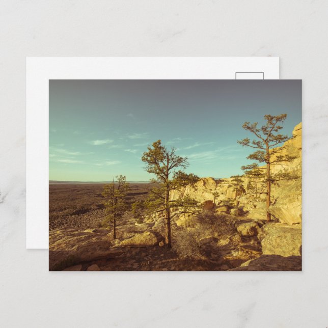 New mexico vykort (Fram/baksida)