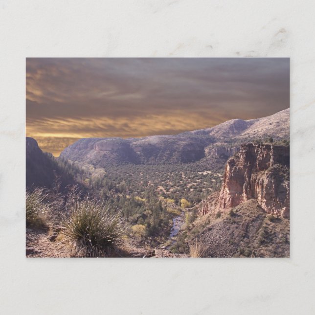 New mexico Wilderness Vykort (Framsida)