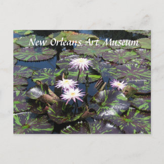 New Orleans Art Museum Vykort