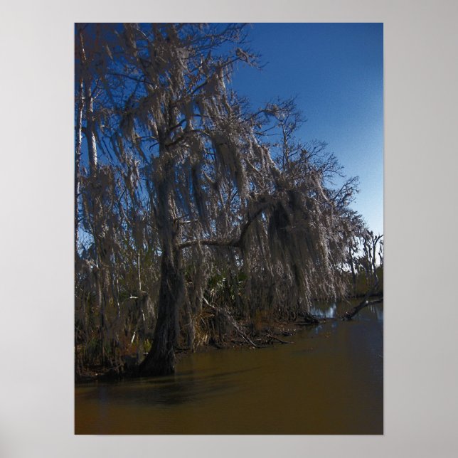 New Orleans Bayou Poster (Framsidan)