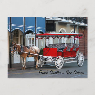 New Orleans Carriage Ride Vykort
