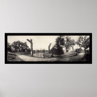 New Orleans City Park Photo 1909 Poster