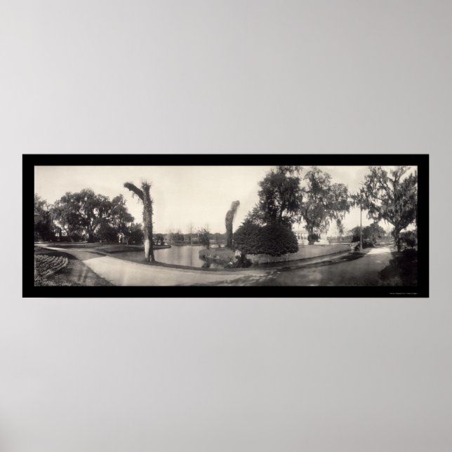 New Orleans City Park Photo 1909 Poster (Framsidan)