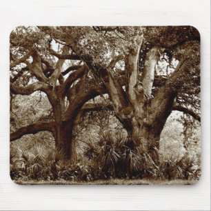New Orleans levande Oakträd Musmatta