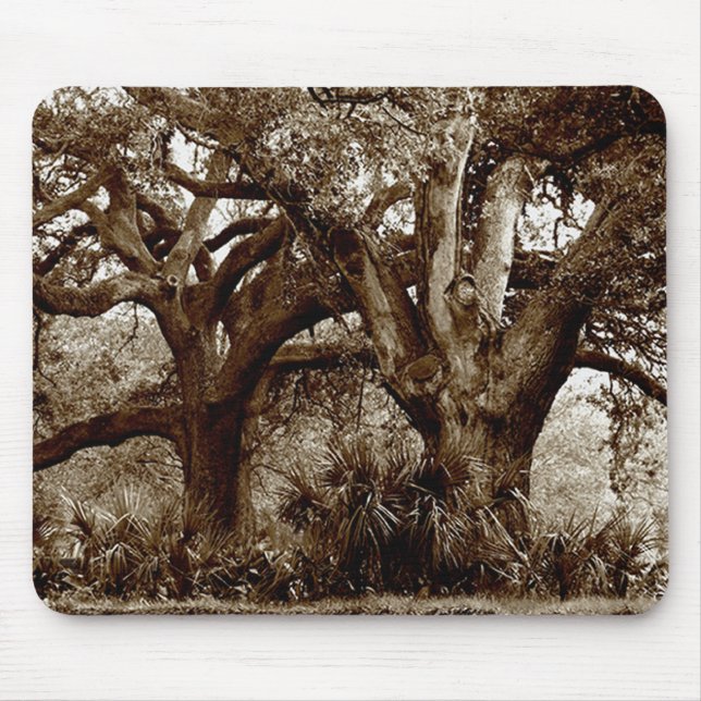 New Orleans levande Oakträd Musmatta (Framsidan)