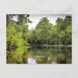 New Orleans, Louisiana, bayou, Vykort