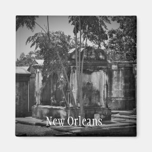 New Orleans magnet
