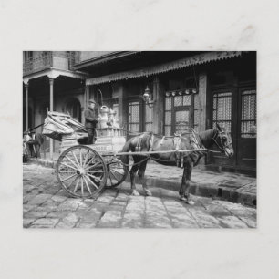 New Orleans Mjölk Cart: 1903 Vykort