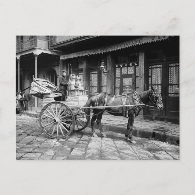 New Orleans Mjölk Cart: 1903 Vykort (Framsida)