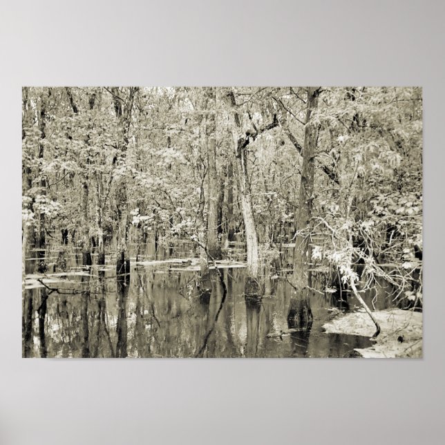 New Orleans Swamp Poster (Framsidan)