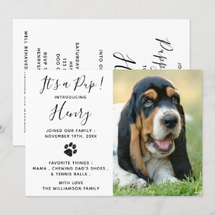 New Pet Hund Puppy Party Inbjudningar
