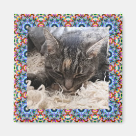 New Pet Red and Blue jul Star Square Ram Magnet