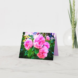 NEW! PINK ROSES GREETING CARD KORT