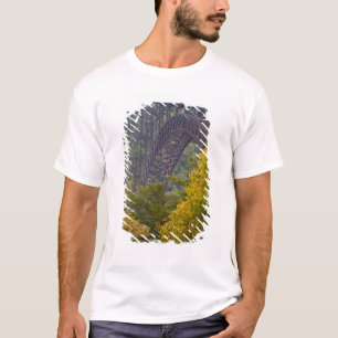 New River Gorge Bridge, New River Gorge Tee