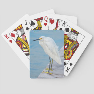 New Smyrna Beach, Snöhägre på brygga Spel Kort