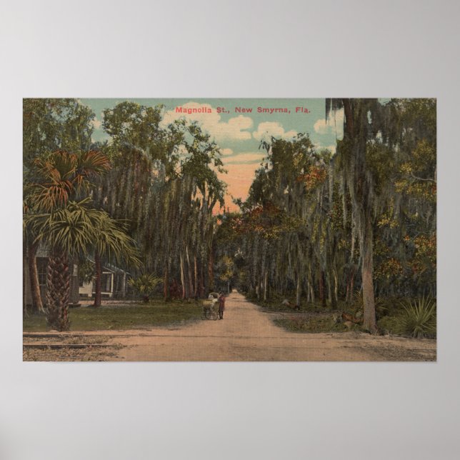 New Smyrna, Florida - View Magnolia Poster (Framsidan)