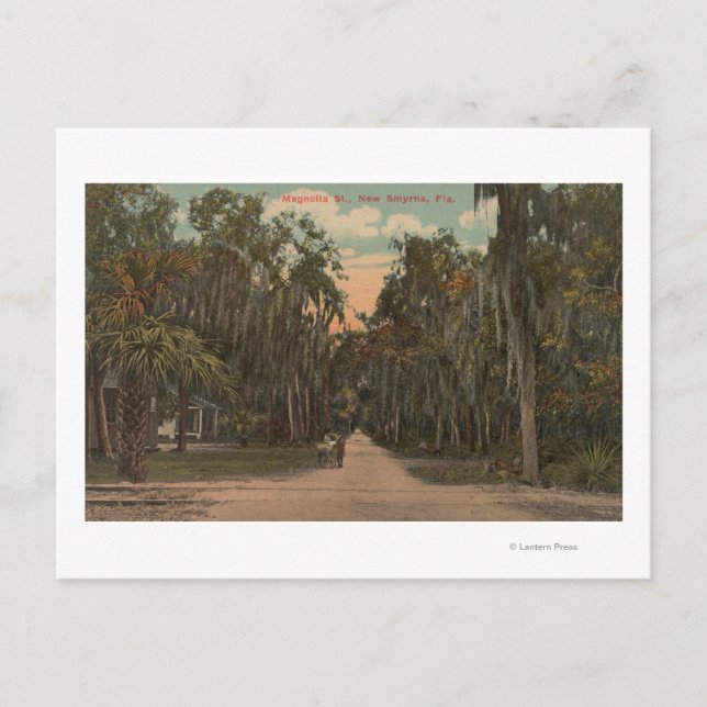 New Smyrna, Florida - View Magnolia Vykort (Framsida)