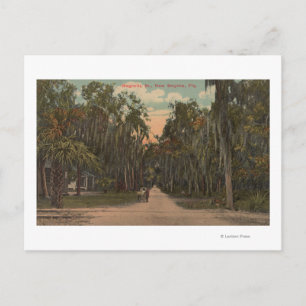 New Smyrna, Florida - View Magnolia Vykort