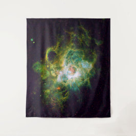 New Star Nursery Large