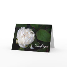New White Peony Floral Photography - tack för dina
