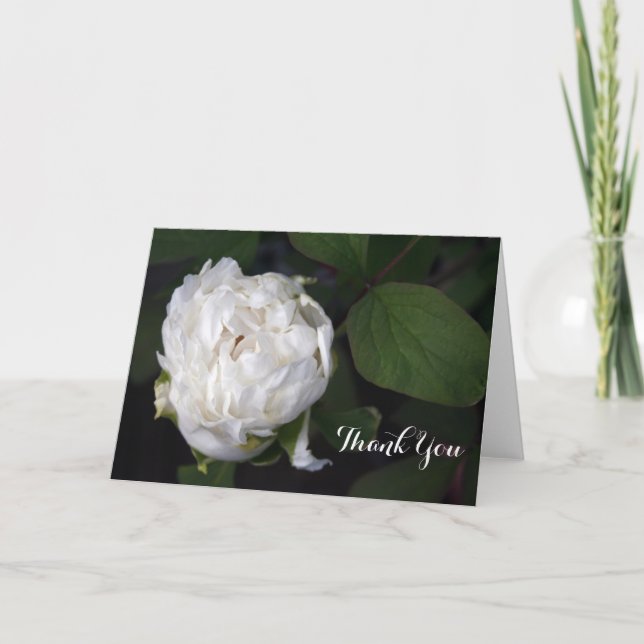 New White Peony Floral Photography - tack för dina (Framsida)