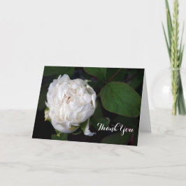 New White Peony Floral Photography - tack för dina Kort