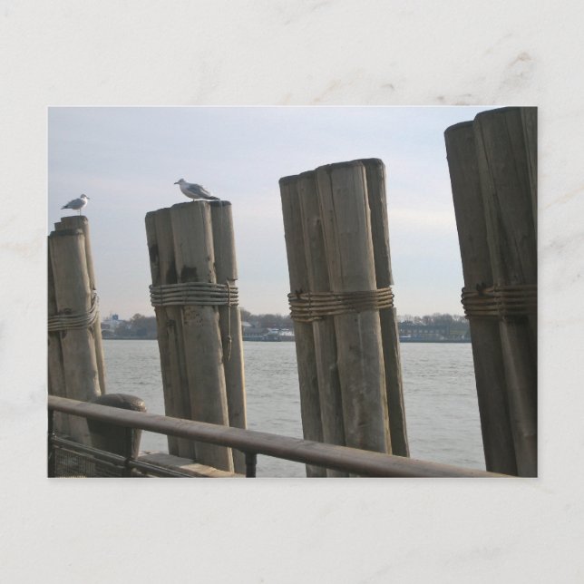 New York - Battery Park Vykort (Framsida)