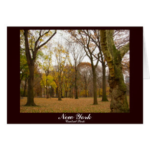 New York Card Central Park New York Souvenir Card Hälsningskort