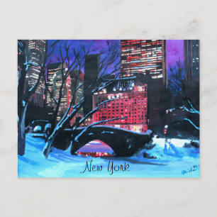 New York City - Central Park Winter Vykort