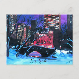 New York City - Central Park Winter Vykort