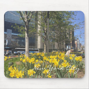 New York City Daffodils Columbus Circle NYC Vår Musmatta