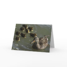 New York City hälsningkort