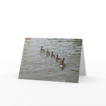 New York City hälsningkort