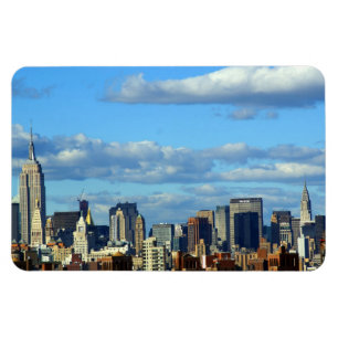 New York City magnet
