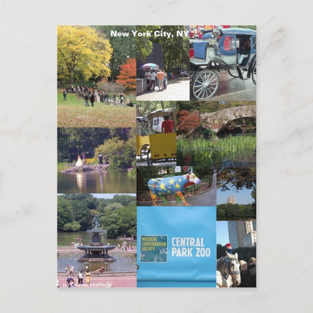 New York City, New York Vykort (Framsida)