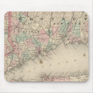 New York City och Vicinity Musmatta