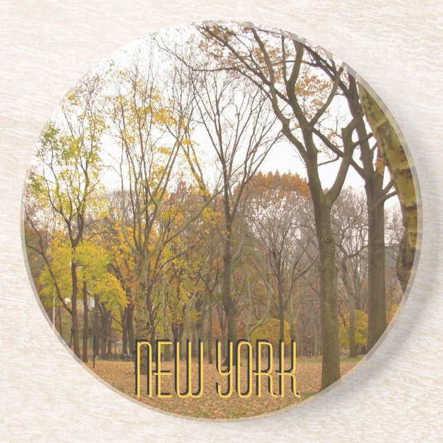 New York Coaster Central Park NY Souvenir Coaster Underlägg (Framsidan)