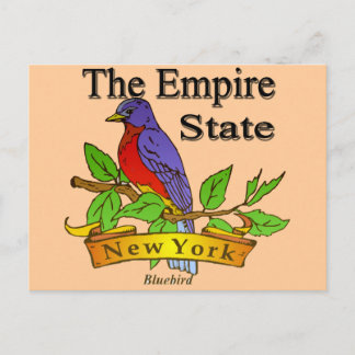New York Empire state Bird Vykort