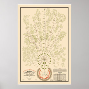 New York & Erie Railroad Org - Light - Färg Poster