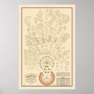 New York & Erie Railroad Org - Light - Färg Poster