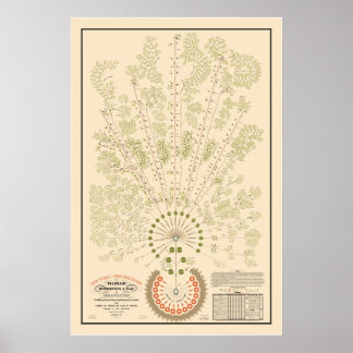 New York & Erie Railroad Org - Ljust - Färg Poster