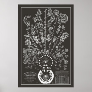 New York & Erie Railroad Org - Mörk - disposition Poster