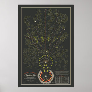 New York & Erie Railroad Org - Mörk - Färg Poster