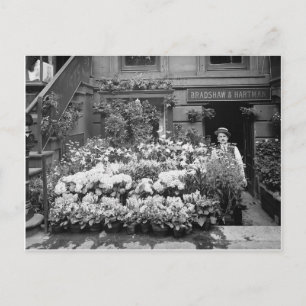 New York Flower Shop, 1895 Vykort