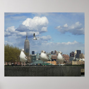 New York horisont med fiskmåsar Poster