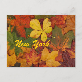 New York Höst löv vykort